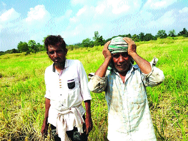 Water in the eyes and in the fields, will help someone | डोळ्यांत आणि शेतात पाणी, मदत तरी कुणाची घेणार