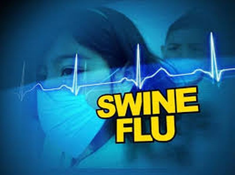 Swine flu threatens again in state | राज्यात ‘स्वाइन फ्लू’चा पुन्हा धोका!