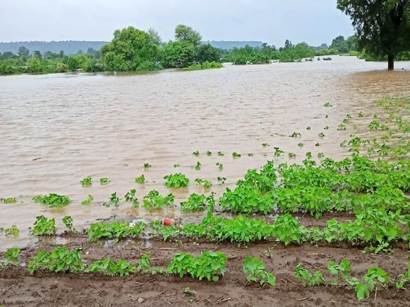 Yavatmal district again hit by heavy rains; Three drowned, one missing | यवतमाळ जिल्ह्याला पुन्हा अतिवृष्टीचा तडाखा ; तिघांचा बुडून मृत्यू, एक बेपत्ता