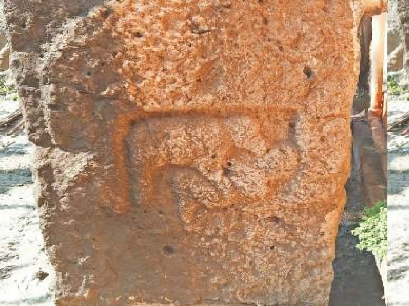 Thirteenth century donkey found in wai satara | Satara: वाईमध्ये आढळले तेराव्या शतकातले गद्धेगळ