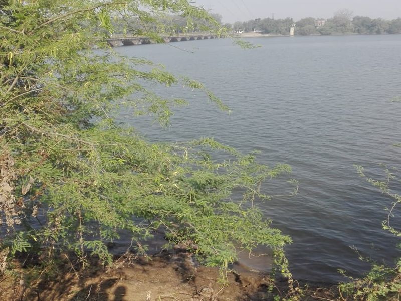 Bhandara : couple suicide by taking a jump in the Wainganga River | वैनगंगा नदीत उडी घेऊन प्रेमीयुगुलाची आत्महत्या
