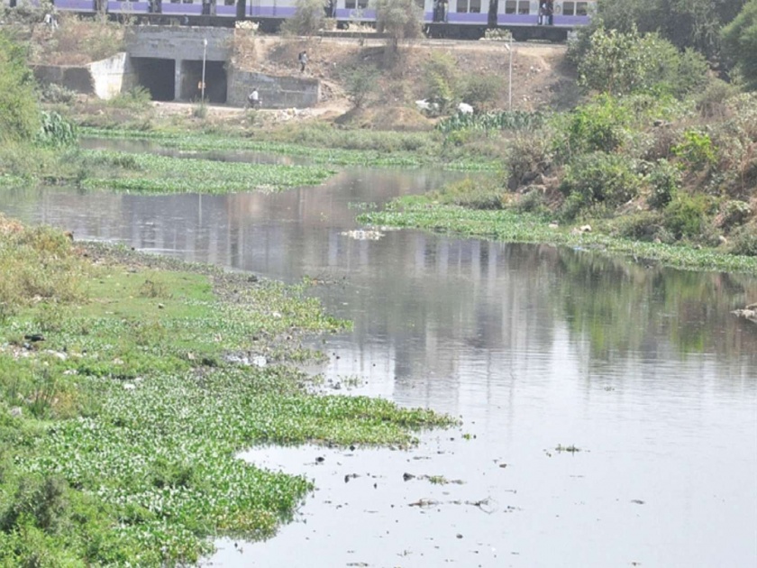 The Waldhuni river was shifted locally for cleanliness | वालधुनी नदी स्वच्छतेसाठी स्थानिक सरसावले