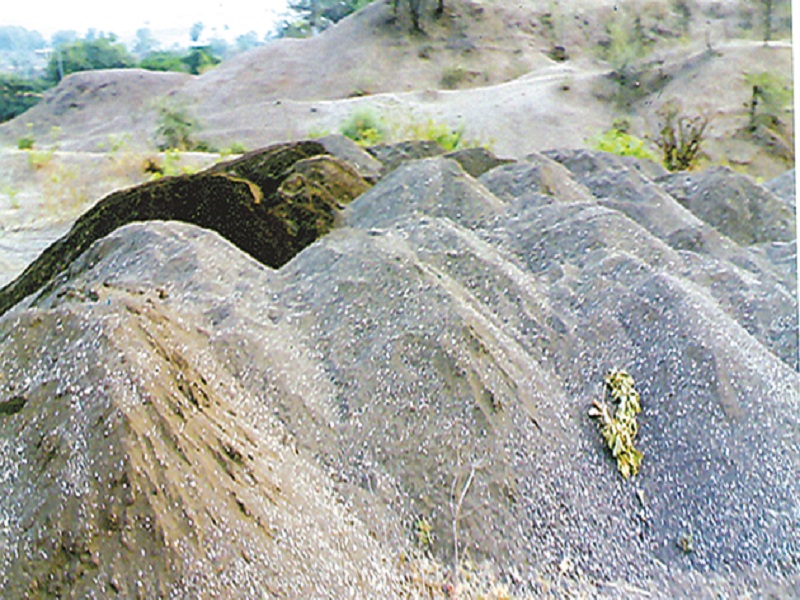 Print sand dunes in Shrigonda; Issue of Rs | श्रीगोंद्यात वाळू उपशावर छापा; ७५ लाखांचा मुद्देमाल जप्त