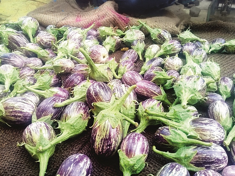 Vegetable increase in Jalgaon market; Below is half the size of the brinjal | जळगाव बाजारपेठेत भाजीपाल्याची आवक वाढली; वांग्याचे भाव निम्म्याने आले खाली
