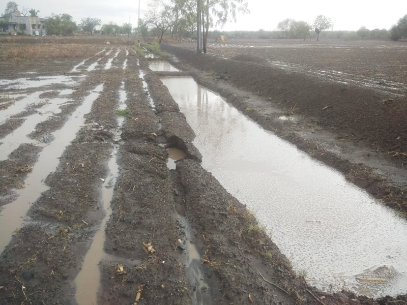 Waiting for the rain in Hijaluktahan in Solapur district | सोलापूर जिल्ह्यातील ह्यजलयुक्तह्णला पावसाची प्रतीक्षा