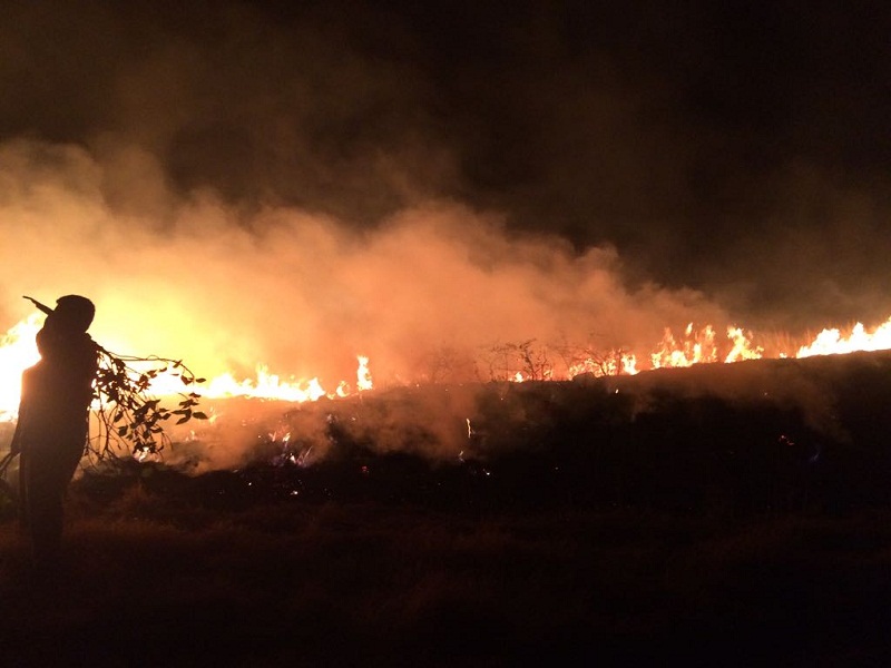25 hectares of forest in Shrongonda taluka burned | श्रीगोंदा तालुक्यातील २५ हेक्टर जंगल जळून खाक