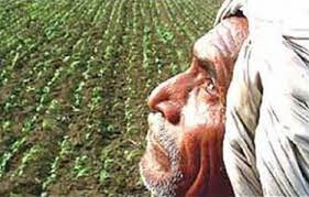 Washim District should be declared drought-affected: NCP's demand | वाशिम जिल्हा दुष्काळग्रस्त घोषित करावा : राष्ट्रवादी काँग्रेसची मागणी 
