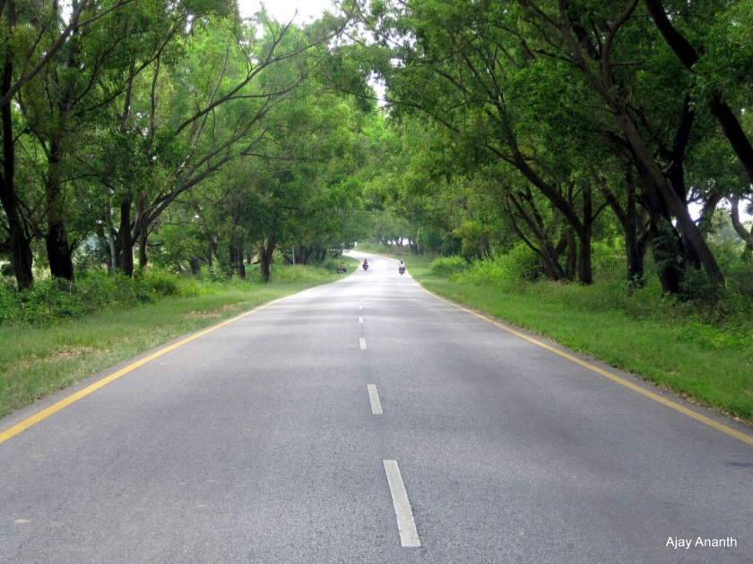 Upgradation of 92 km distance roads of Washim district | वाशिम जिल्ह्यातील ९२ किलोमीअर अंतराच्या रस्त्यांचे अद्ययावतीकरण