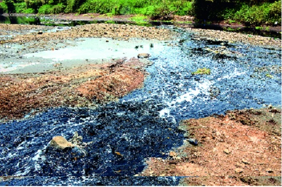  The issue of pollution in Panchgani is on the anvil: Contaminated water in twenty-seven villages | पंचगंगेच्या प्रदूषणाचा मुद्दा ऐरणीवर : सव्वीस गावांत दूषित पाणी