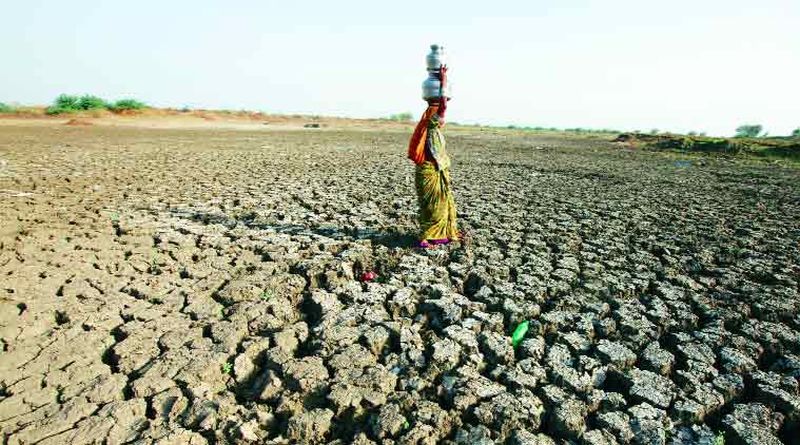 Political turmoil in agricultural problems, stop declaring drought - HM Dissarada | शेती समस्यांचा राजकीय कलगीतुरा थांबवून दुष्काळ जाहीर करा - एच.एम. देसरडा 