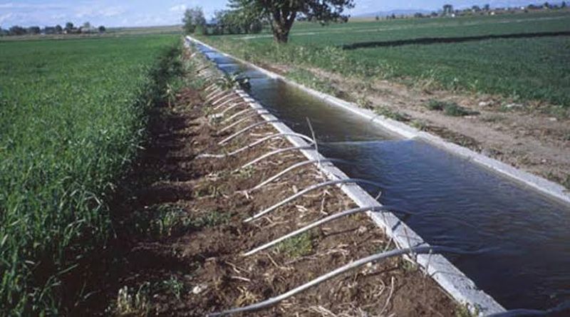 The rabbi season is over in half; However, there is no water for irrigation! | रब्बीचा हंगाम अर्धा संपला; तरी सिंचनासाठी पाणी मिळेना!