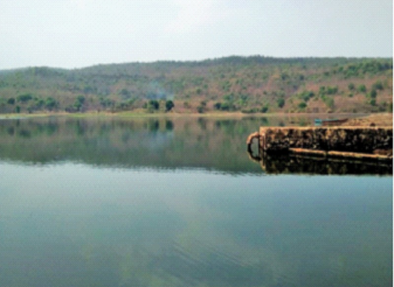 The lake will dry up in the month of April itself and will face a water crisis! | एप्रिल महिन्यातच तलाव आटल्याने जलसंकट भेडसावणार!