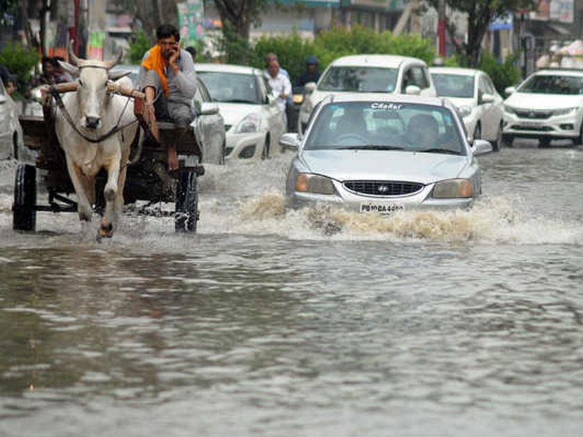 The rain water will now die in the road | 'नीरी'च्या वैज्ञानिकांचं संशोधन लय भारी; आता रस्त्यातच मुरणार पावसाचं पाणी