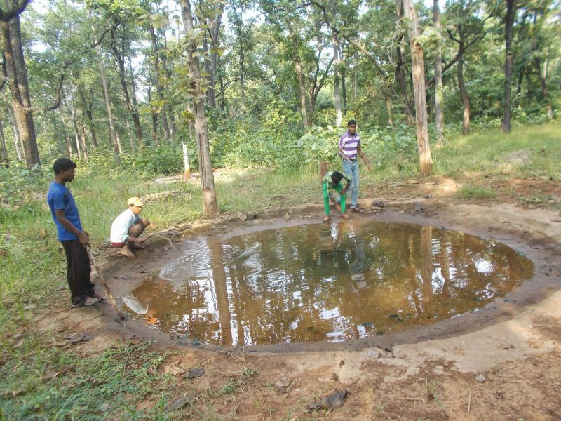 350 waterhole for wild animals | वन्य प्राण्यांसाठी ३५० पाणवठे