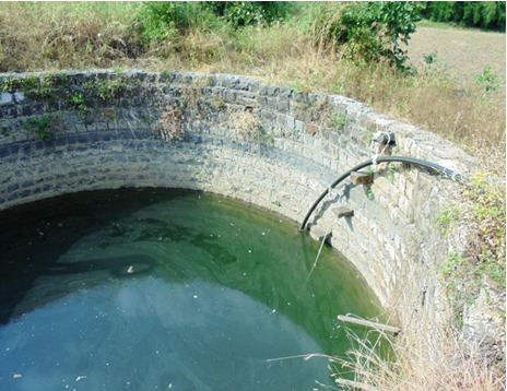ground water level in the sakharkherda area was increased | ‘जलयुक्त शिवार’च्या कामांमुळे वाढली साखरखेर्डा परिसरातील भूजल पातळी