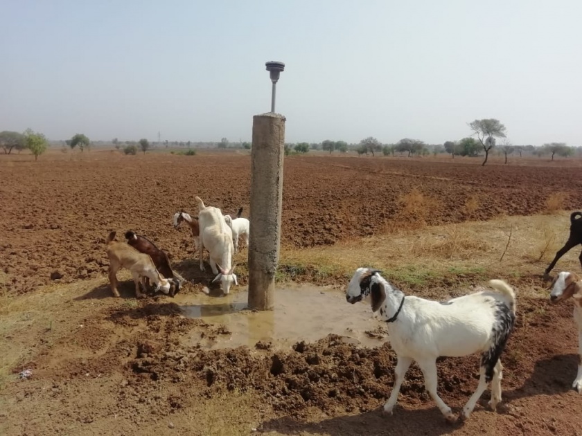 Water scarcity in 10 villages in Hatrun area! | हातरुण परिसरातील १० गावात पाणीटंचाईच्या झळा!