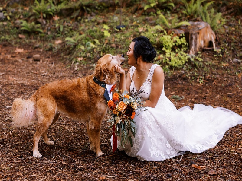 Bride First Look Wedding Photos with Her Dog Images Go Viral | महिलेने कुत्र्यासोबत काढले लग्नाचे फोटो, सोशल मीडियावर व्हायरल