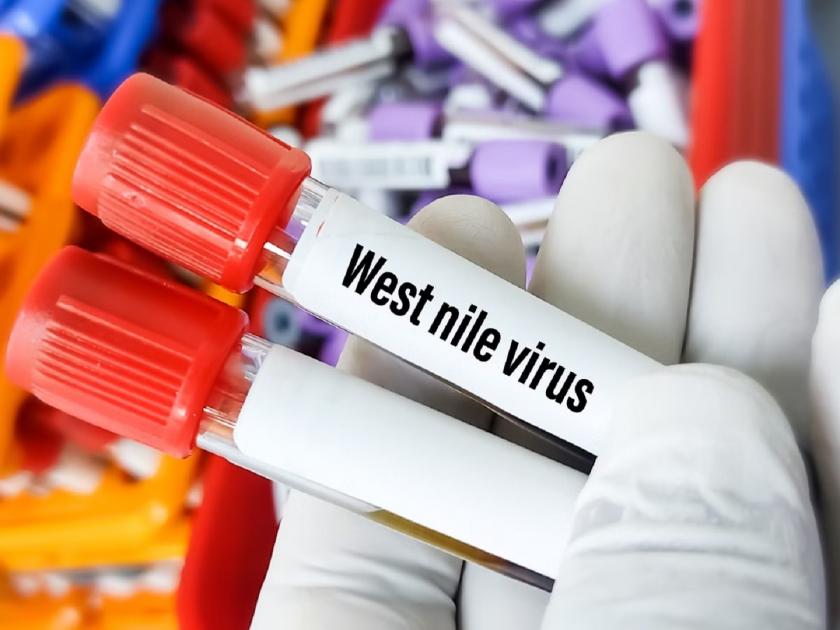 West Nile fever alert in three Kerala districts, 10 cases reported | केरळमध्ये वेस्ट नाईल तापाचा प्रादुर्भाव; 'या' धोकादायक आजाराची लक्षणे काय आहेत? जाणून घ्या...
