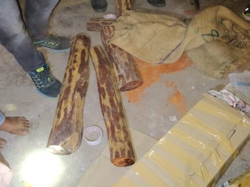 police caught thief of sandal wood | रक्तचंदन लाकडाची चाेरी करुन विक्रसाठी नेणाऱ्याला अटक