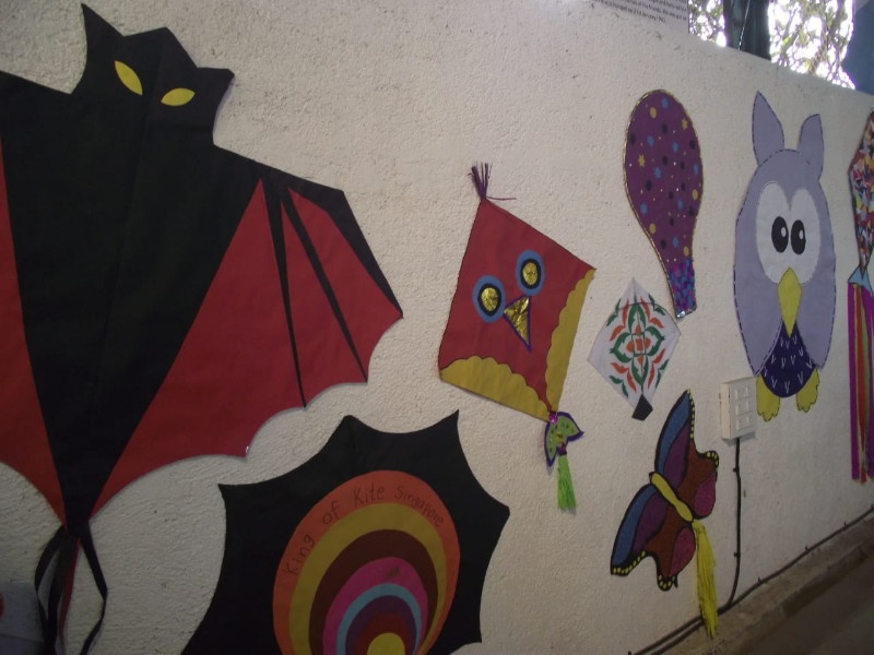 children's enjoyed kite festival | बालचमुंनी लुटला पतंगाेत्सवाचा आनंद