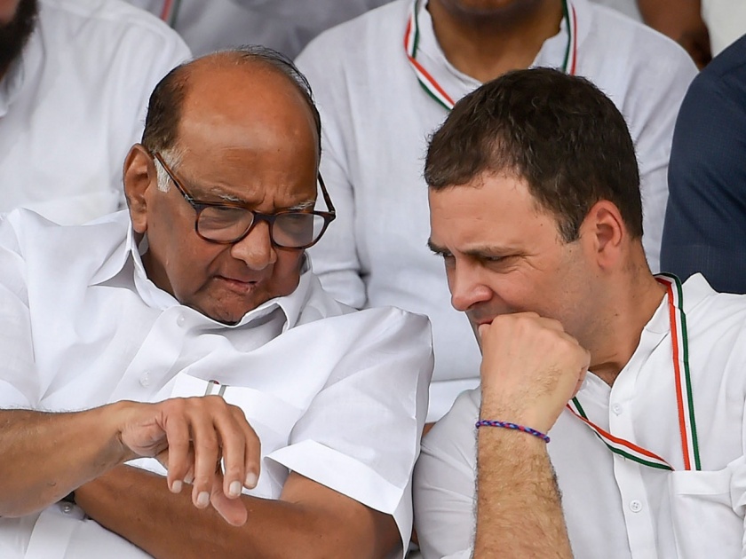 NCP and Congress merges loud | शरद पवार काँग्रेसचे अध्यक्ष, राहुल विरोधी पक्षनेते?