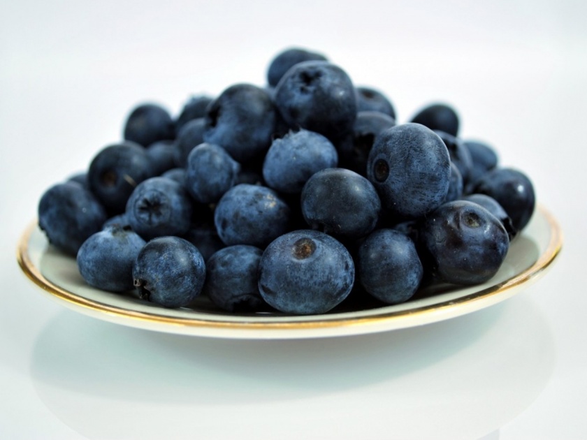blueberry consumption can help in treating blood pressure and memory problems | स्मरणशक्ती वाढवायचीय? Blueberry खा आणि मग बघा कमाल...