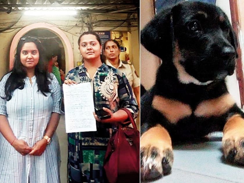 The girl lodged a complaint against her mother for evicts dog | कुत्र्याला घराबाहेर काढले म्हणून मुलीने आईविरोधात केली तक्रार