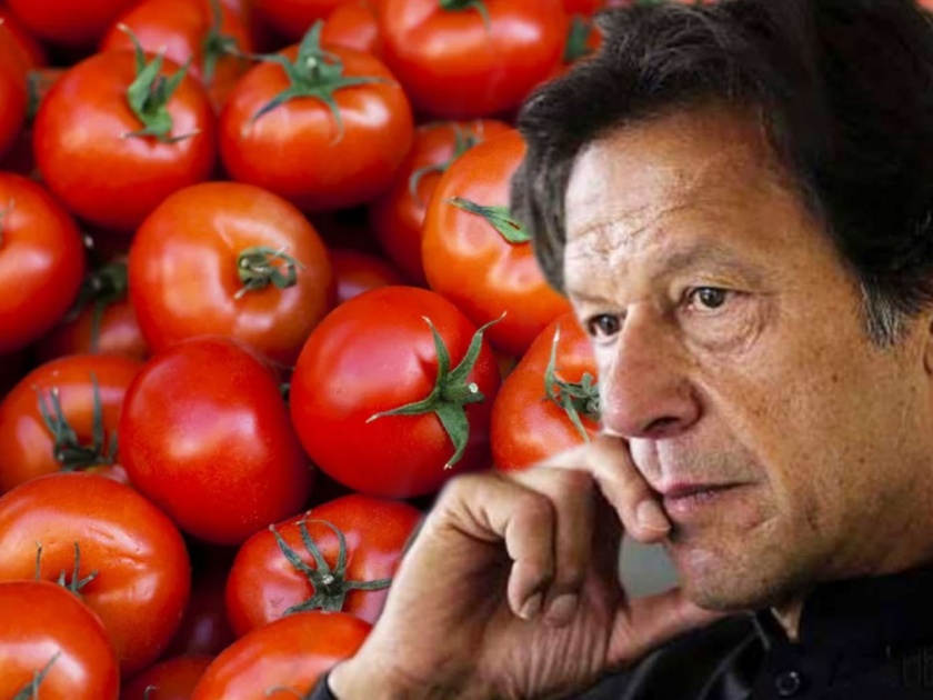 People in Pakistan unemployed by inflation; Tomatoes cross 400 | पाकिस्तानमधील जनता महागाईने बेजार; टोमॅटो 400 पार