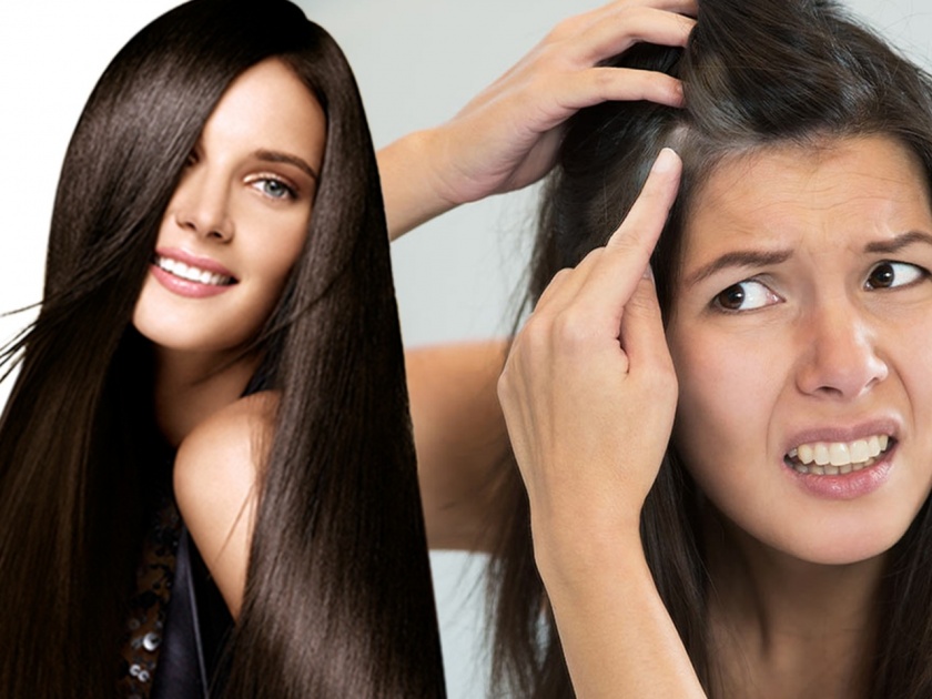Home remedies for long and black hairs | पांढरे केस काळे करण्यासाठी करा हे उपाय...