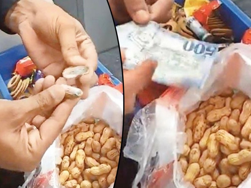 Video: After seeing the peanuts shell pill out, everyone was shocked ... You too will be shocked | Video: भुईमुगाच्या शेंगा फोडल्यानंतर आत जे दिसलं, ते पाहून सगळेच उडाले... तुम्हीही व्हाल अवाक्