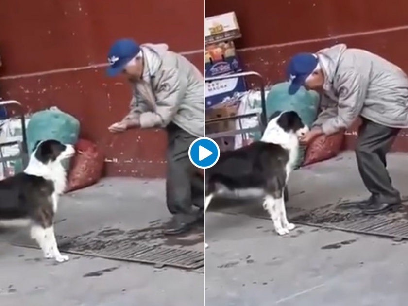 Old man collects water in hands to feed thirsty dog myb | क्या बात! तहानलेल्या कुत्र्याची आजोबांनी भागवली तहान, व्हिडीओ पाहून डोळे पाणावतील...