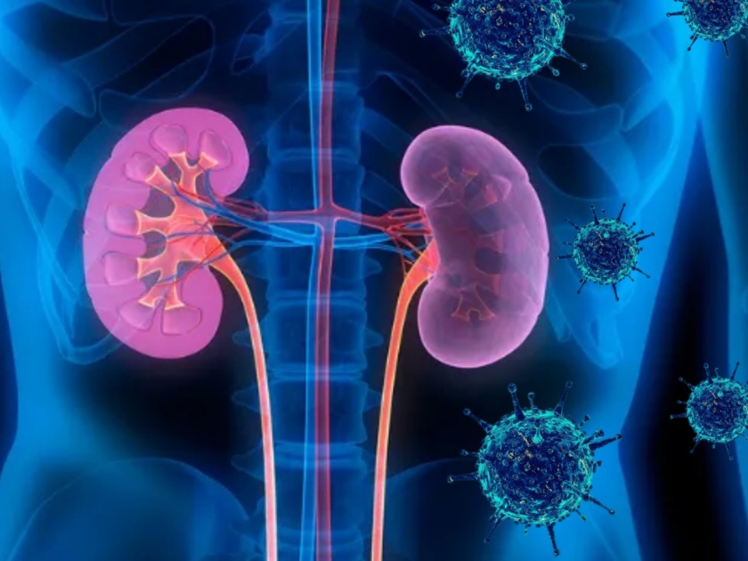 How does corona virus affect kidney and challenges due to shortage of dialysis machines myb | कोरोनाचा किडनीवर 'असा' होत आहे गंभीर परिणाम; डायलिसिस मशिनची कमतरता