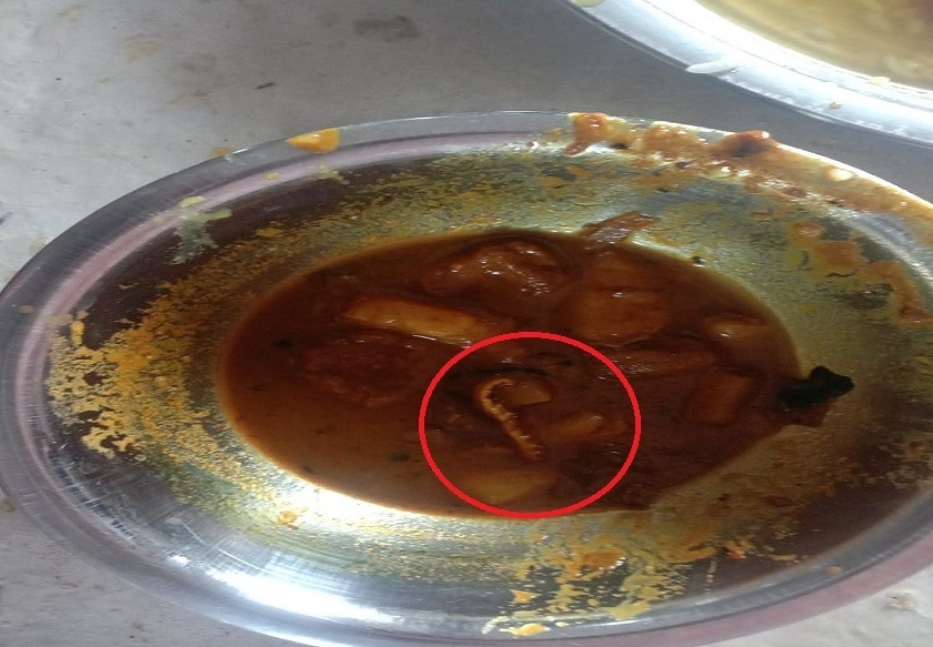 CoronaVirus Marathi News scorpio found food quarantine center bihar SSS | CoronaVirus News : भयंकर! जेवणात आढळला विंचू; क्वारंटाईन सेंटरमधील धक्कादायक प्रकार