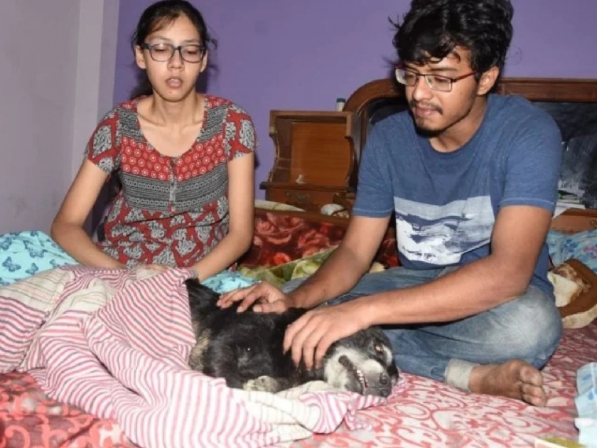 kanpur female dog jumps to death after seeing deadbody of her owner | मालकिणीचा विरह सहन न झाल्याने; इमानी कुत्रीने ४ थ्या मजल्यावरून उडी घेत संपवलं जीवन! 