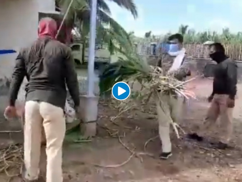 Farmers in the hospital because of corona the police reached for the animals at madha maharashtra | कोरोनामुळे शेतकरी रुग्णालयात; मुक्या जीवांसाठी खाकीतला देवमाणूस पोहोचला गोठ्यात; पाहा व्हिडीओ