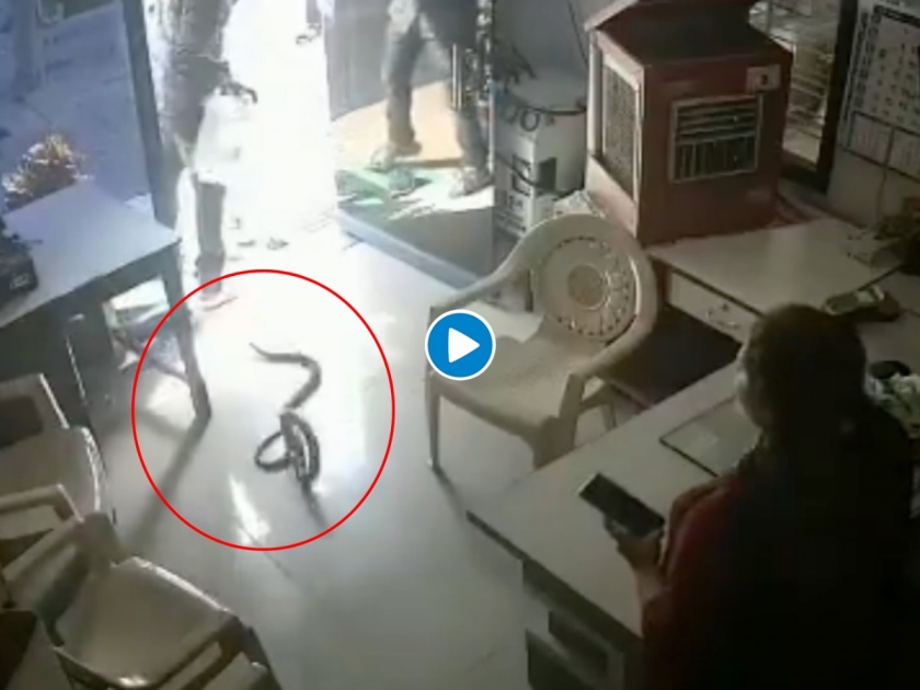 Maharashtra buldana angry man released snakes in petrol pump office cctv video goes viral 2 | बापरे! बाटलीत पेट्रोल दिलं नाही; म्हणून रागात महिलेच्या अंगावर सोडले साप, व्हिडीओ व्हायरल