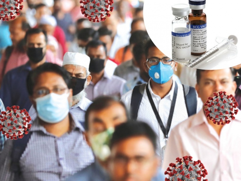 BCG vaccine can save the elderly from covid 19 trial will start in tamilnadu | आता कोरोना विषाणूंपासून वयोवृद्धांनासुद्धा वाचवणार BCG लस;  'या' राज्यात चाचणीला सुरूवात