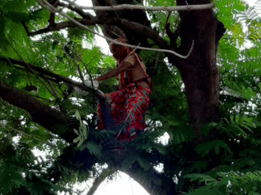 Video: For daughter mother climbed the tree in front of the SP's office and attempted suicide | Video : लेकीसाठी आई चक्क चढली एसपी कार्यालयासमोरील झाडावर अन् केला आत्महत्येचा प्रयत्न 