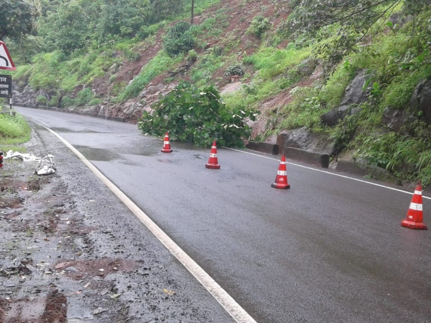 Due to torrential rains, soil, trees on roads in Kasara Ghat | मुसळधार पावसामुळे कसारा घाटात दरडीसह माती, झाडे रस्त्यावर