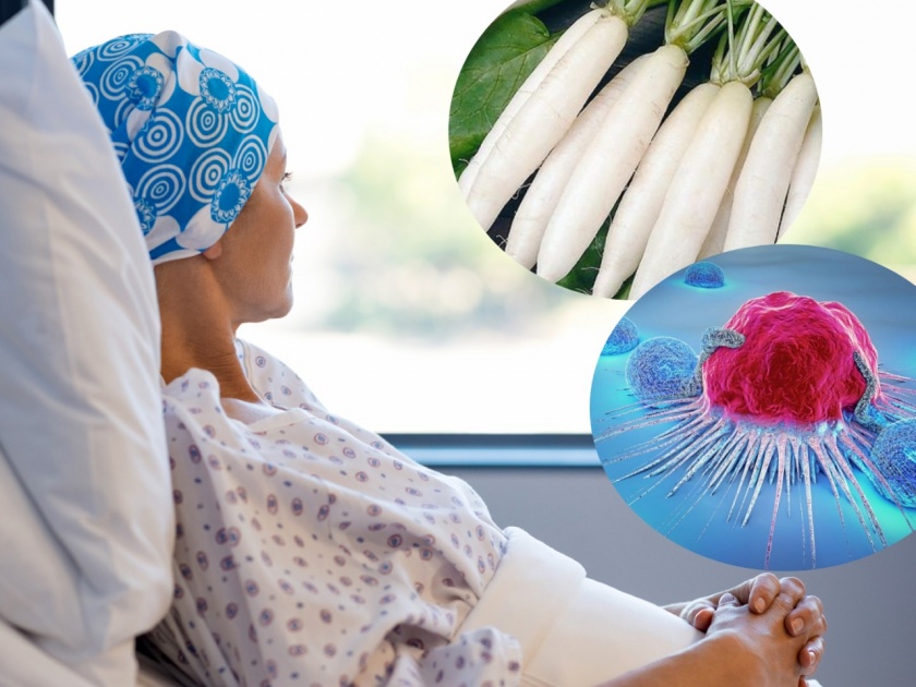Radish is beneficial in cancer the world cancer research fund said | जीवघेण्या कॅन्सरपासून बचावासाठी मुळ्याचं सेवन फायद्याचं; वर्ल्ड कॅन्सर रिसर्च फंडातील तज्ज्ञांचा दावा