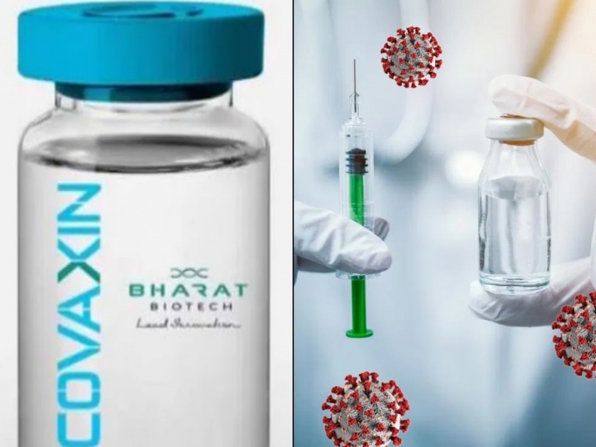 CoronaVirus Marathi News bharat biotech announced animal trials covid19 vaccine successful | CoronaVirus News : लढ्याला यश! स्वदेशी लसीची प्राण्यांवर यशस्वी चाचणी, भारत बायोटेकची घोषणा 
