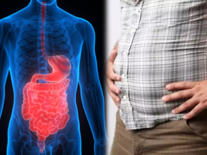 Inflammatory bowel disease also may reason of stomach bloating know about idb | पोटाच्या रोजच्या तक्रारी ठरू शकतात IBD समस्येचं कारण; वाचा लक्षणं आणि उपाय