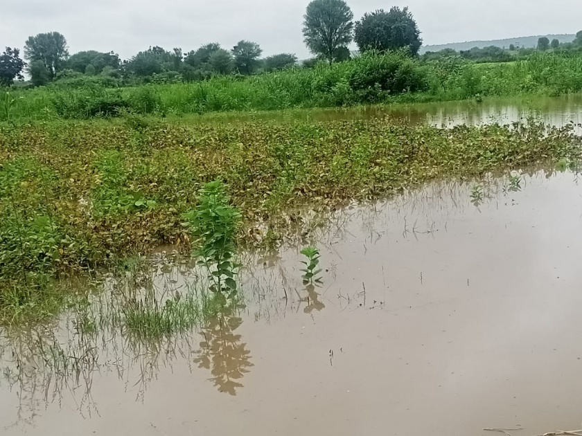 heavy rain in kalamnuri hingoli flood Kayadhu river | कयाधू नदीला पूर, पिके पाण्याखाली; तलाठ्यांना सर्वेक्षणाचे निर्देश
