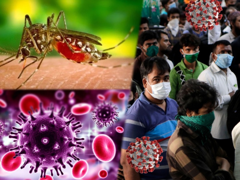 Dengue makes stronger against covid-19 virus immunity protect from coronavirus? | डेंग्यू झाल्यानंतर तयार झालेल्या एंटीबॉडी कोरोनाचा सामना करणार; संशोधनानंतर तज्ज्ञांचा दावा