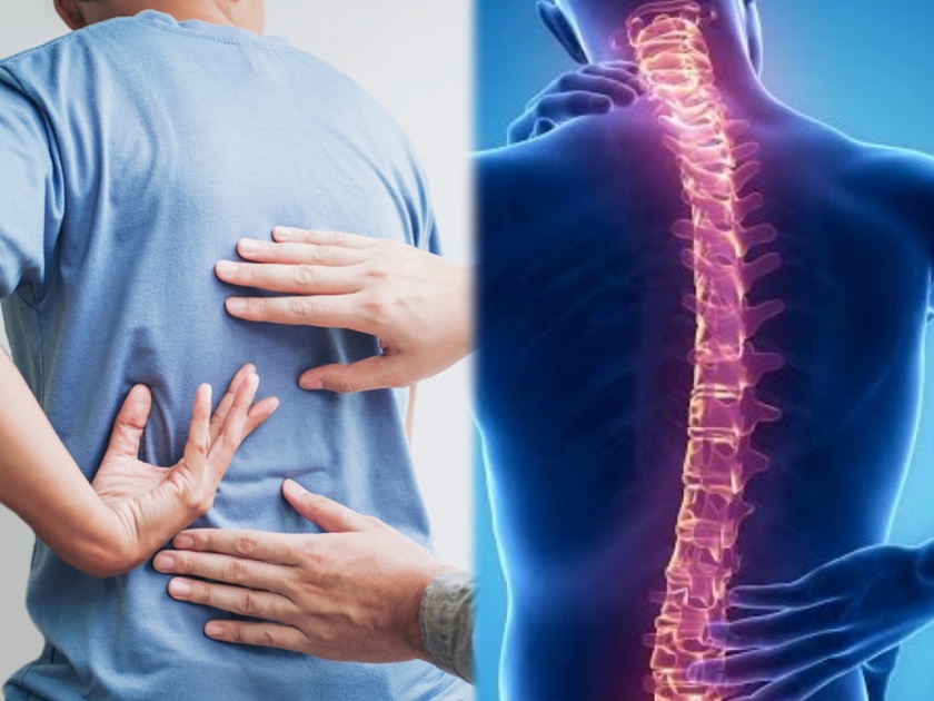 Health Tips Marathi: How do spinal cord injuries affect body expects says | पाठीच्या कण्याच्या त्रासाकडे दुर्लक्ष केल्यास होऊ शकतात 'असे' भयंकर परिणाम, वेळीच सावध व्हा