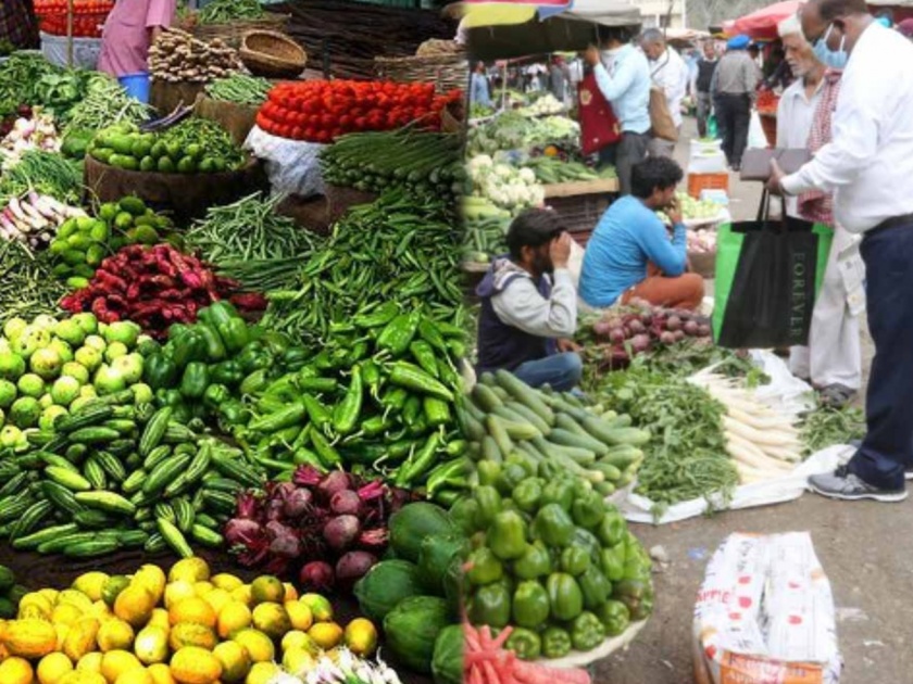 Health Tips Marathi : Adulterated harmful vegetables are sold across india says report | तुम्हीसुद्धा रोज शरीराला घातक ठरणाऱ्या भाज्या खाताय? रिपोर्टमधून समोर आली धक्कदायक बाब