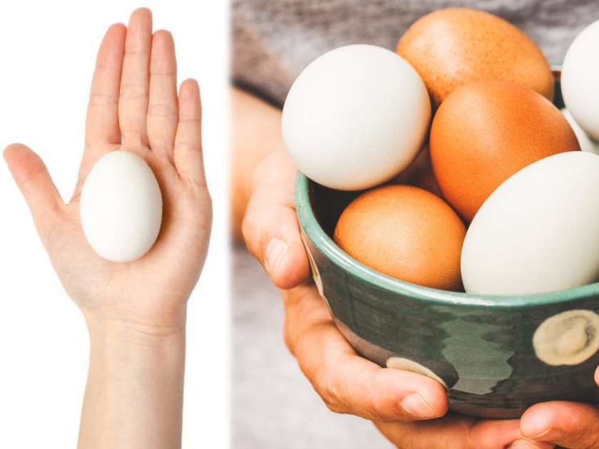 Health tips diabetes diet eating excess eggs may increase diabetes risks experts reveal | सावधान! जास्त अंडी खाल्ल्याने वाढतोय 'या' आजाराचा धोका; संशोधनातून समोर आली महत्वाची माहिती