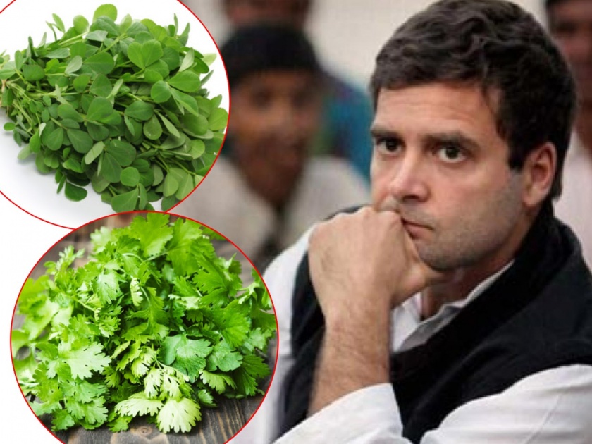 gujarat cm vijay rupani asks if rahul gandhi knows difference between coriander and fenugreek | "राहुल गांधींना कोथिंबीर आणि मेथीमधला फरक तरी माहितीय का?"