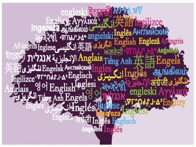 hindi dominance increased became the third most spoken language in the world | जगात सर्वाधिक कोणती भाषा बोलली जाते माहितीय का?; यादीमध्ये "या" भारतीय भाषेचा बोलबाला