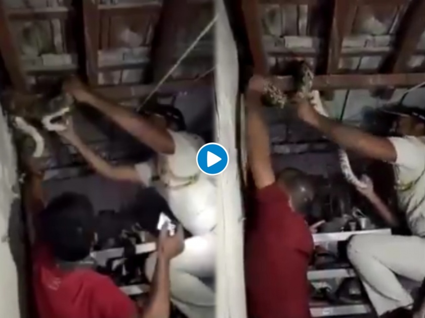 6 foot python found on the roof of the house mumbai cop caught it see viral video | बापरे! अर्ध्या रात्री छतातून घरात शिरला ६ फुटांचा अजगर, पोलिसानं असं केलं कैद; पाहा व्हिडीओ